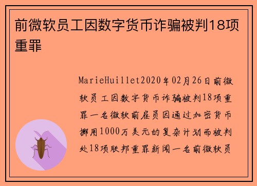 前微软员工因数字货币诈骗被判18项重罪 