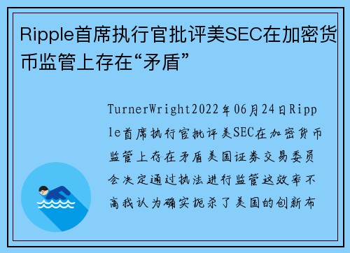 Ripple首席执行官批评美SEC在加密货币监管上存在“矛盾” 